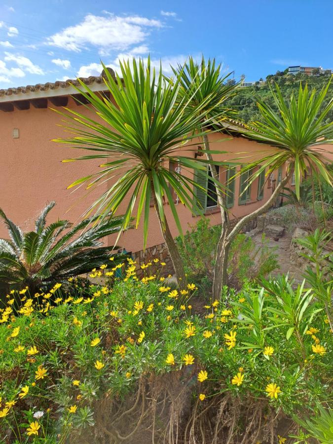 הוילה פלטחה ד'ארו La Casa Celestial מראה חיצוני תמונה